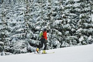 les gens d'hiver s'amusent et skient photo