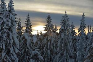 paysage de montagne d'hiver photo