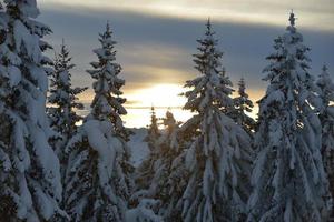 paysage de montagne d'hiver photo