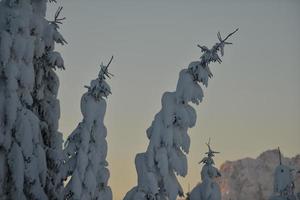 paysage de montagne d'hiver photo