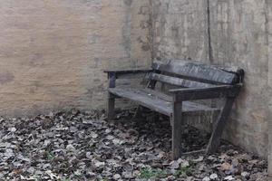 banc en bois et feuilles photo