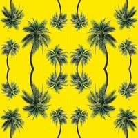 motif de feuilles de palmier vert pour le concept nature, cocotier tropical isolé sur fond jaune photo