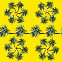 motif de feuilles de palmier vert pour le concept nature, cocotier tropical isolé sur fond jaune photo