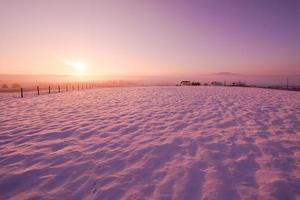 paysage d'hiver pittoresque avec arbre solitaire photo