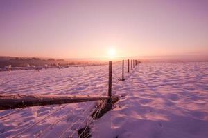 paysage d'hiver pittoresque avec arbre solitaire photo