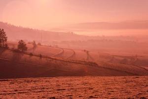 paysage d'hiver pittoresque avec arbre solitaire photo