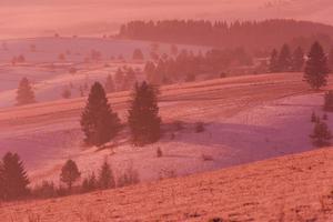 paysage d'hiver pittoresque avec arbre solitaire photo