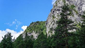 ig collines cachées derrière une forêt verte fraîche avec un ciel bleu en arrière-plan paysage nature photo