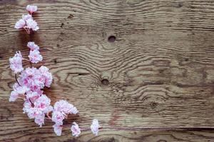 Bouquet de fleurs roses sur fond de bois photo