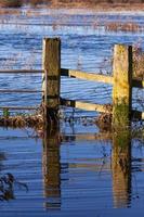 Terre inondée près d'Ely après de fortes pluies photo