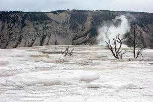 vue sur les sources chaudes de mammouth dans le parc national de Yellowstone photo