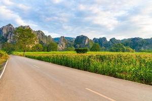 beau paysage avec route, montagnes et ciel bleu. notion de voyage photo