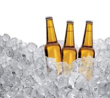 Trois bouteilles de bière sur des glaçons isolés sur fond blanc photo