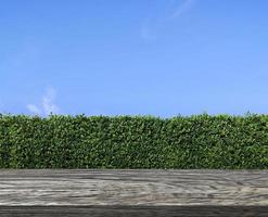 terrasse de table en bois avec texture de mur d'herbe verte et ciel bleu vif photo