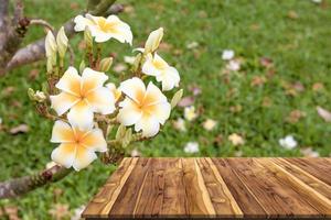 table en bois avec plumeria dans le jardin photo