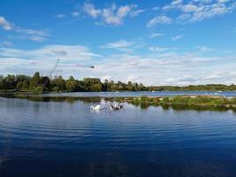 mignons oiseaux aquatiques nageant, images du lac willen et du parc situé à milton keynes, en angleterre. les gens profitent du lac par une chaude journée ensoleillée d'été. clip vidéo enregistré le 21-8-2022 photo