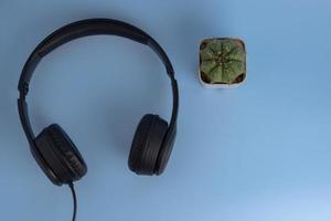 technologie numérique musique divertissement communication et diffusion multimédia écouteurs et cactus sur fond vue de dessus. photo