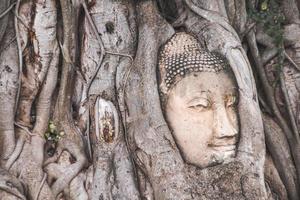 statue de tête de bouddha emprisonnée dans les racines de l'arbre bodhi photo