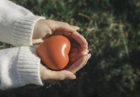 une main tenant un coeur rouge.elle est la main gauche ou droite le tenant sur fond vert.santé cardiaque, bonne charité bénévole, la photo montre le principe de la bienveillance et de la bonne santé.