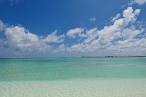 paysage de plage tropicale photo