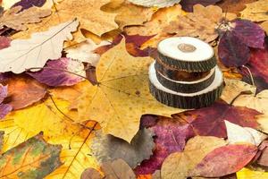 Voir ci-dessus de bois sciés sur les feuilles d'automne photo