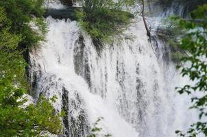 rivière cascade sauvage photo