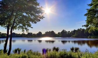 beau paysage ensoleillé au bord d'un lac avec une surface d'eau réfléchissante. photo