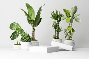 Rendu 3D de plantes tropicales isolées sur fond blanc. photo