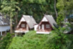 maison floue dans le fond de la forêt photo