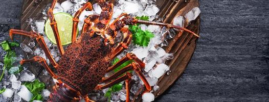 langouste fraîche crue du cap, langouste de la côte ouest, jasus lalandii sur fond d'ardoise sombre avec des glaçons froids, vue de dessus, mise à plat, prise de vue aérienne. photo