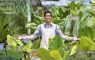 le jardinier asiatique accueille le client tout en travaillant à l'intérieur de la serre pour la plante exotique de la forêt tropicale composée de colocasia et de fougère photo