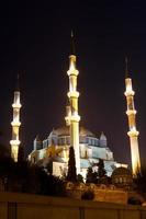 Mosquée Selimiye, Edirne, Turquie photo