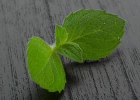 feuilles de menthe sur fond de bois photo