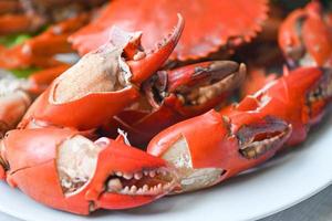 crabe à griffes cuisson des aliments assiette de fruits de mer, crabe frais sur une assiette blanche crabe bouilli ou cuit à la vapeur rouge dans la nourriture du restaurant photo