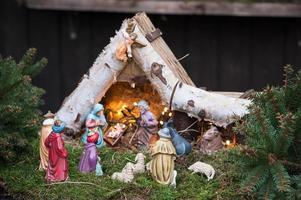 soirée d'hiver dans le jardin photo