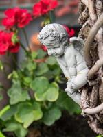 l'heure d'été dans un jardin allemand photo