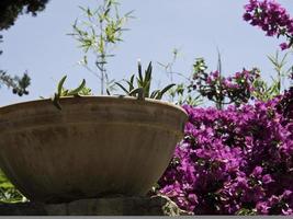 sanary sur mer en france photo