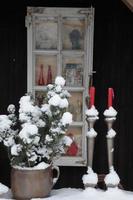 l'heure d'hiver dans un jardin allemand photo