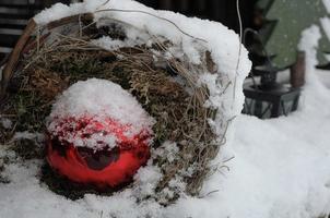 l'hiver au jardin photo