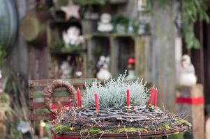 soirée d'hiver dans le jardin photo