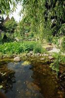 jardin en westphalie photo
