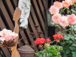 fleurs saignantes dans un jardin allemand photo