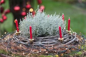 soirée d'hiver dans le jardin photo