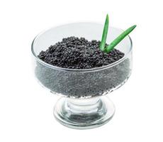 caviar noir sur fond blanc photo