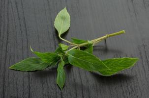 feuilles de bergamote sur fond de bois photo