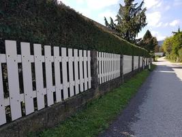 clôture en bois blanc de style comté avec haie à l'extérieur de la propriété. photo
