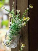 l'heure d'été dans un jardin allemand photo