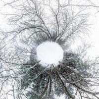 petite planète d'hiver dans la forêt couverte de neige. transformation du panorama sphérique à 360 degrés. vue aérienne abstraite sphérique en forêt. courbure de l'espace. photo