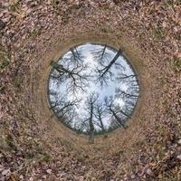 inversion de minuscule planète transformation de panorama sphérique à 360 degrés. vue aérienne abstraite sphérique dans une chênaie avec des branches maladroites à la fin de l'automne. courbure de l'espace. photo