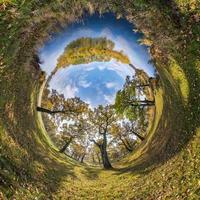 petite planète transformation du panorama sphérique à 360 degrés. vue aérienne abstraite sphérique dans une chênaie avec des branches maladroites en automne doré. courbure de l'espace. photo